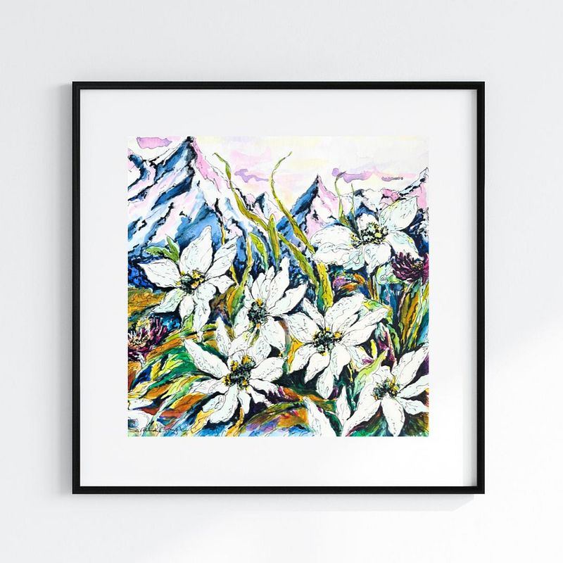 White Edelweiss Alpine Mountain Wild Flowers- Original Watercolour and Pen Illustration