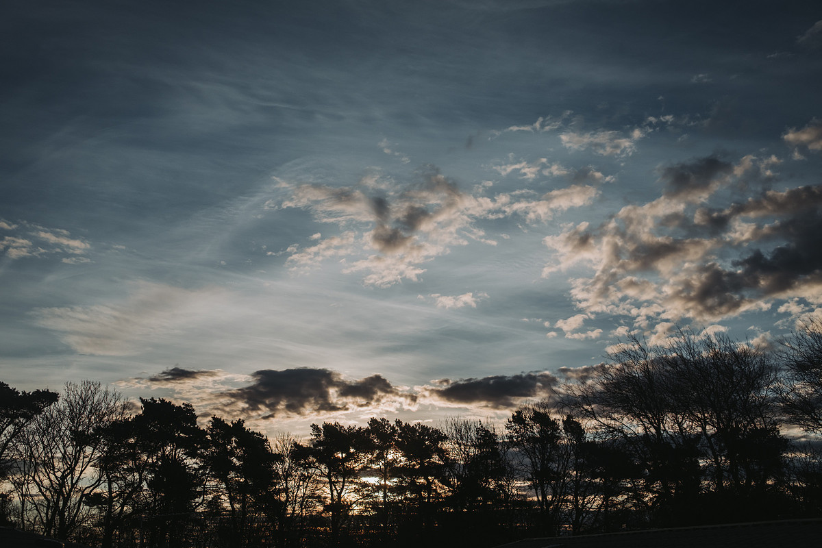 sunset with trees