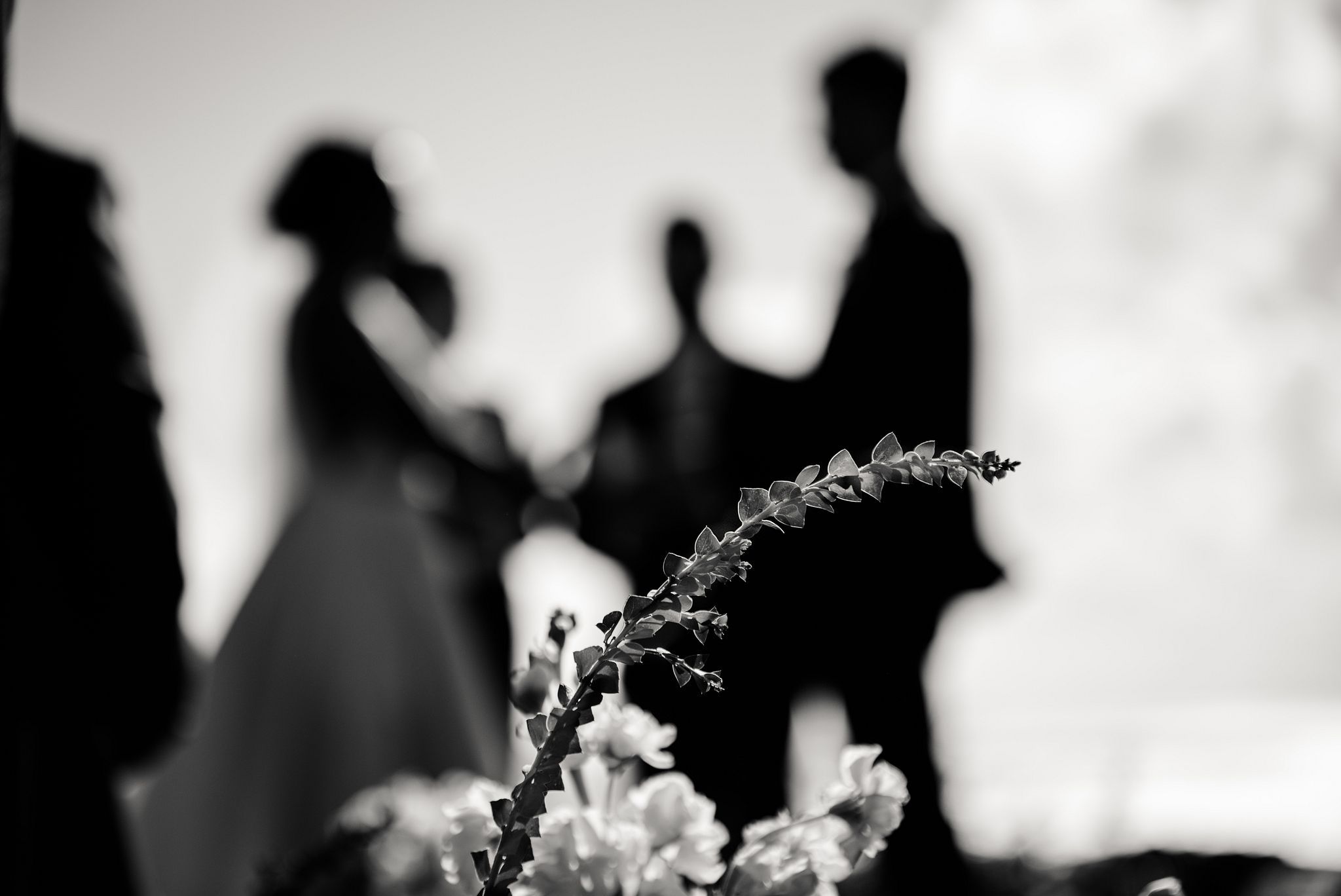 MoPhotoArt