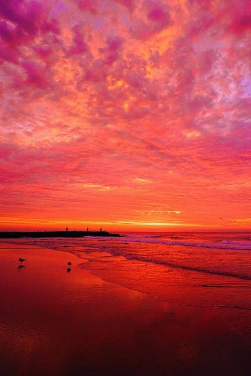 Scarlet Sky