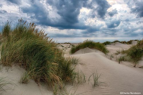 Texel