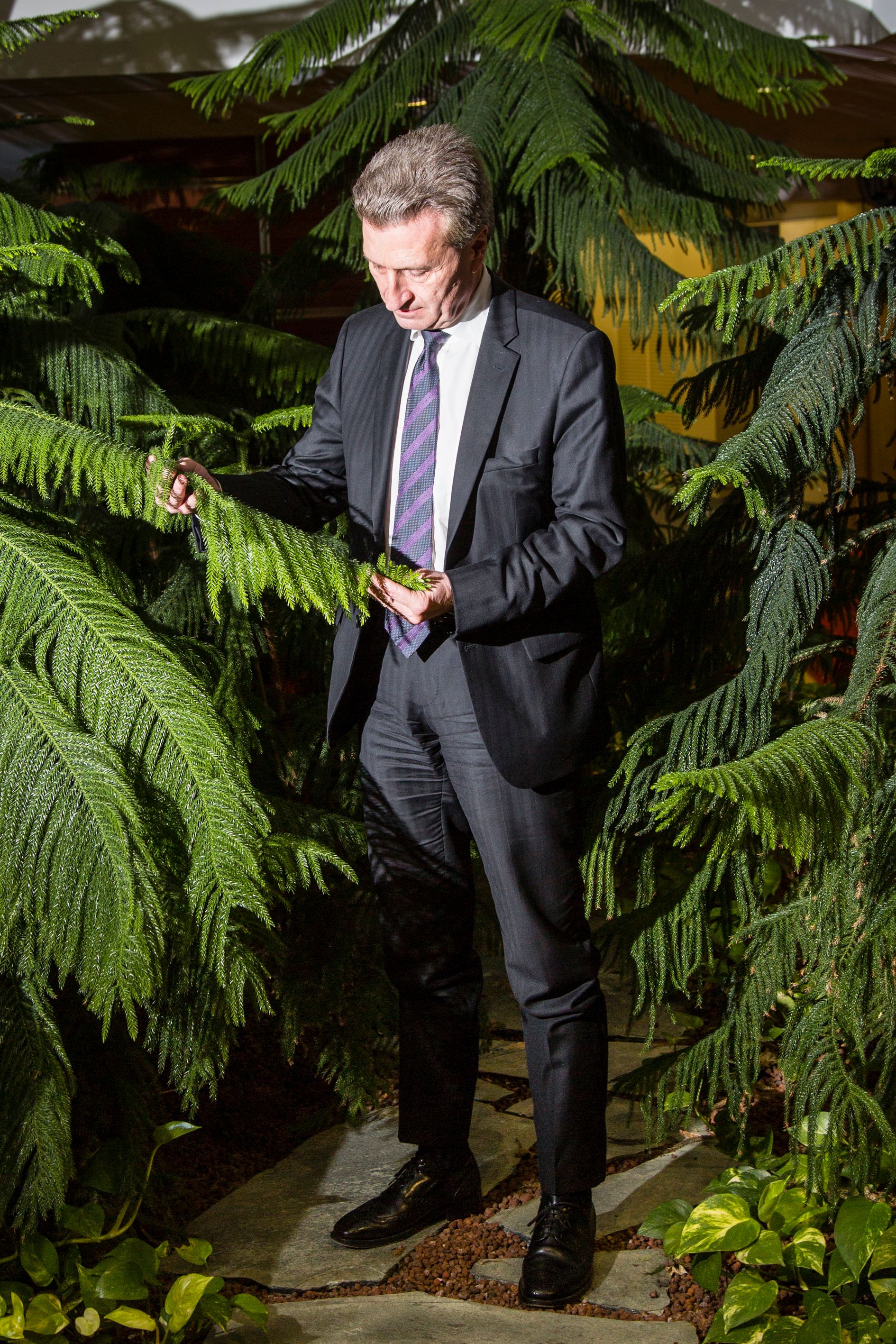 Mr Öttinger