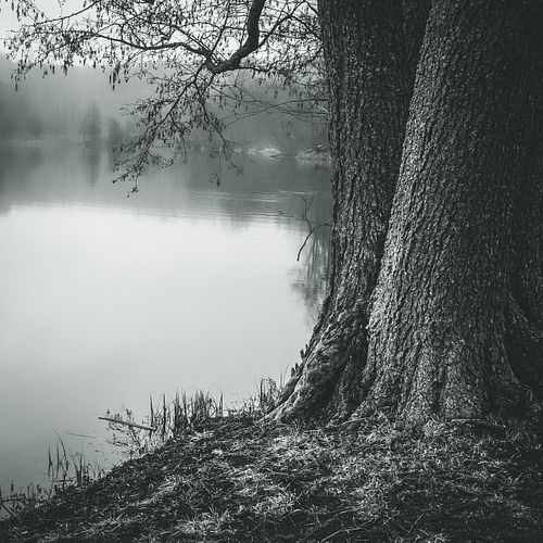 #lake #tree #autumn #water