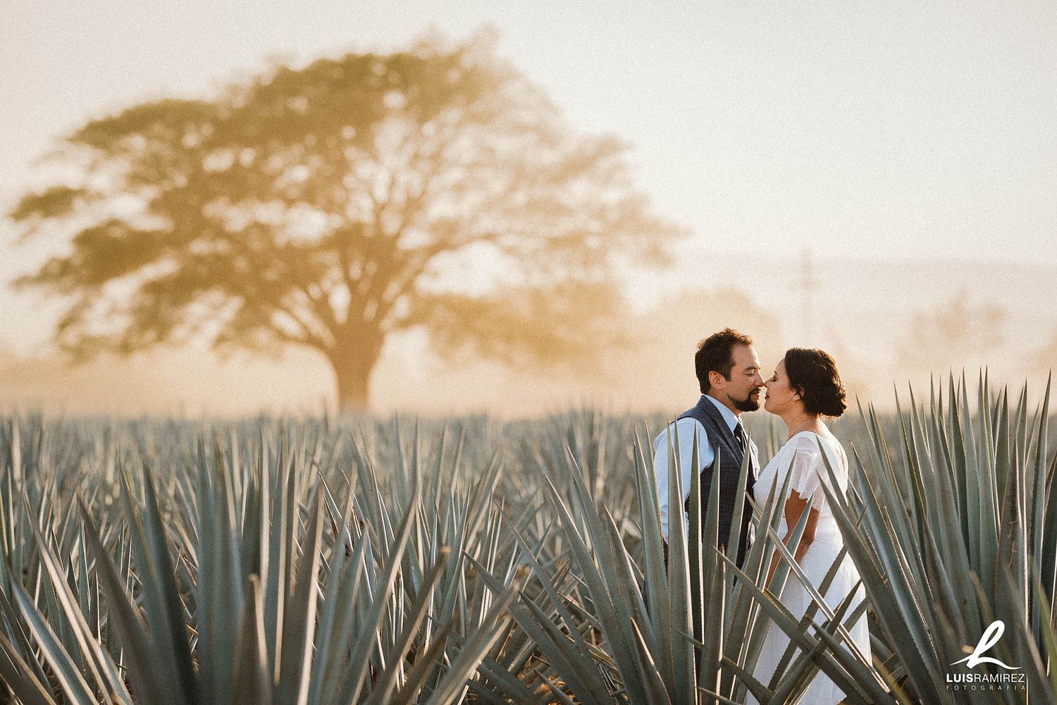 Luis Ramirez Fotografia