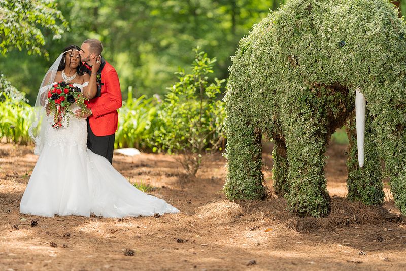 Top 5 Mistakes to Avoid When Hiring a Wedding Photographer