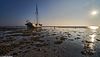 Midweek Oostelijke Waddenzee 5 dagen (4 - 8 mei 2026)