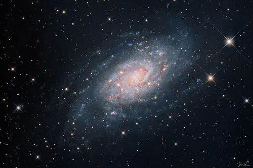 NGC 2403