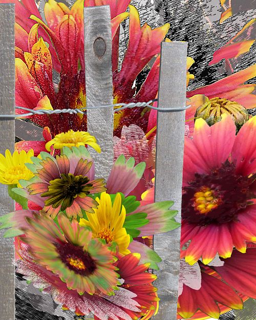 flowers poke through beach sand fence
