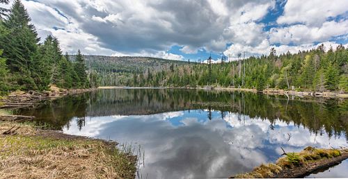 Reflets d’arbres sur un lac calme.