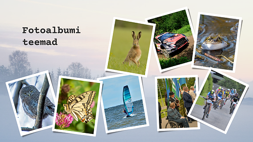 Pildistatud  fotoalbumite t&ouml;&ouml;d