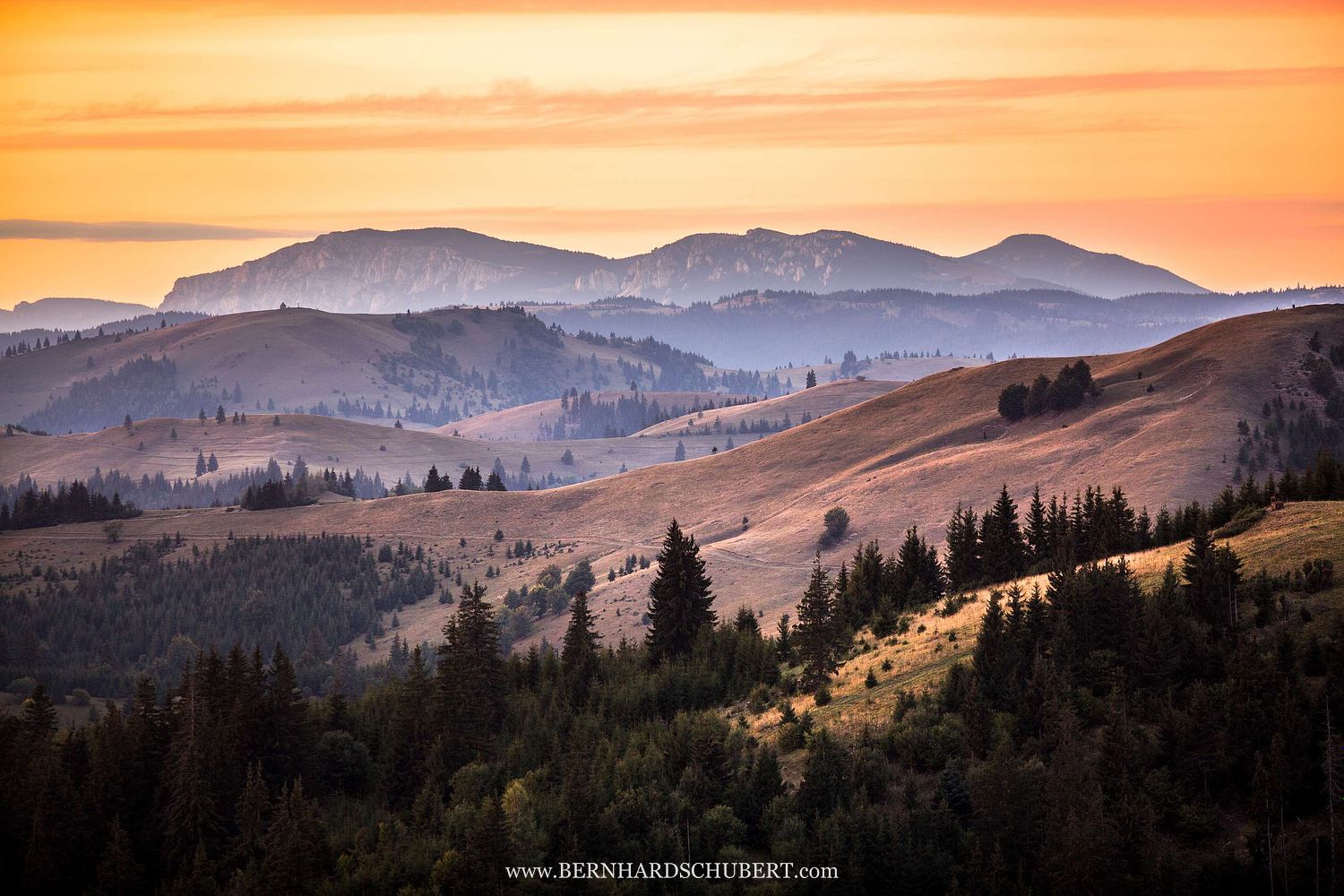 Landscape of the Carpathian foothills