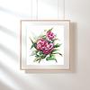 Pink Camellia Flowers