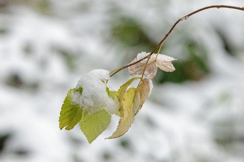 Keerulised ilmaolud muutusid raskeks.