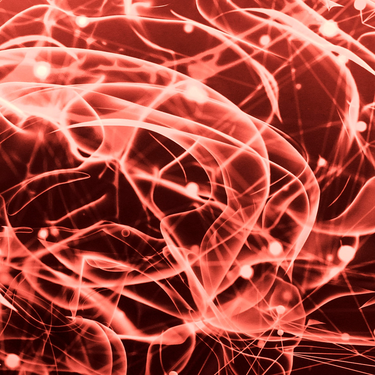 hyperexcited neurons can lead to involuntary muscle movements and twitching