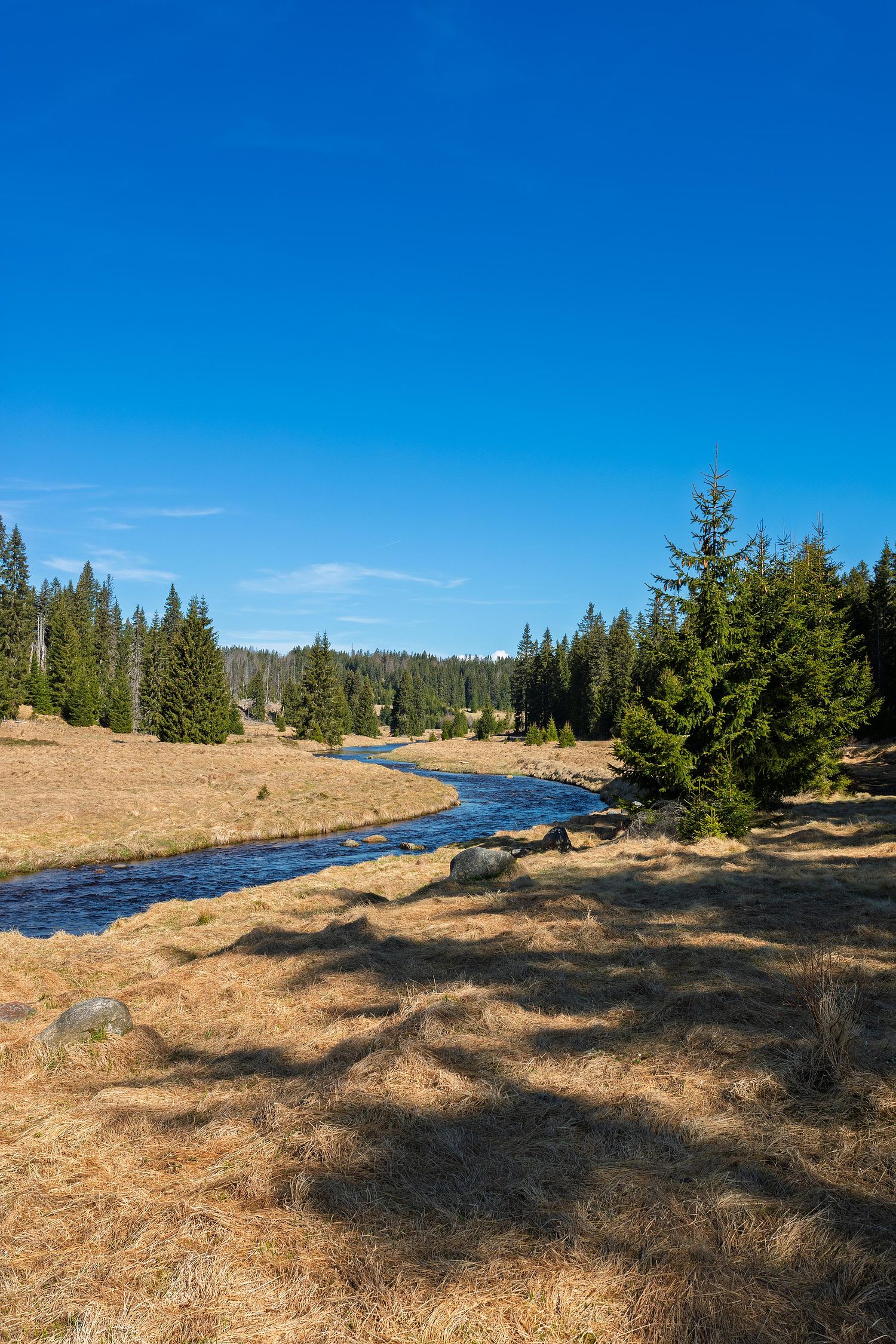 Les courbes de la riviere