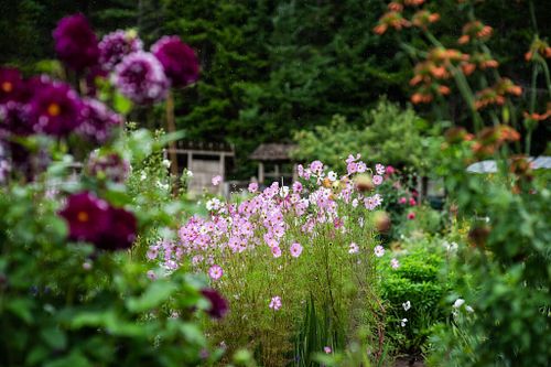 Internal Family Systems Therapy