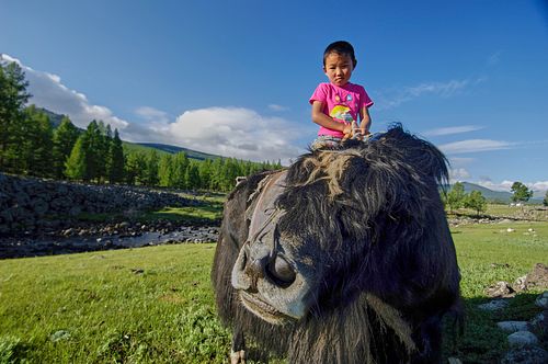 Harnaschpolder vanaf Vermeertoren