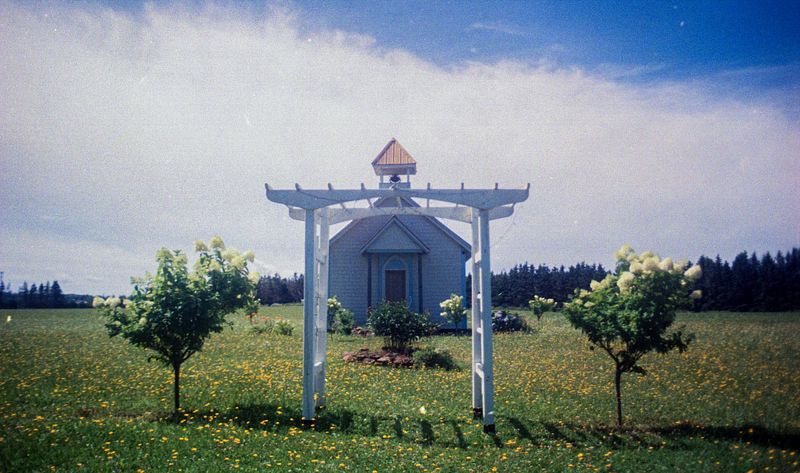 Color Film Photography