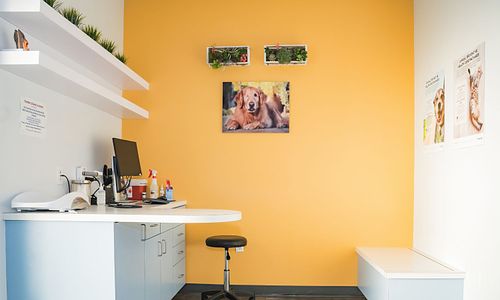 Preferred Client Status