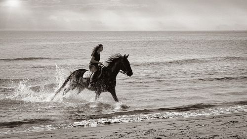 #horse #riding #sea #man #water