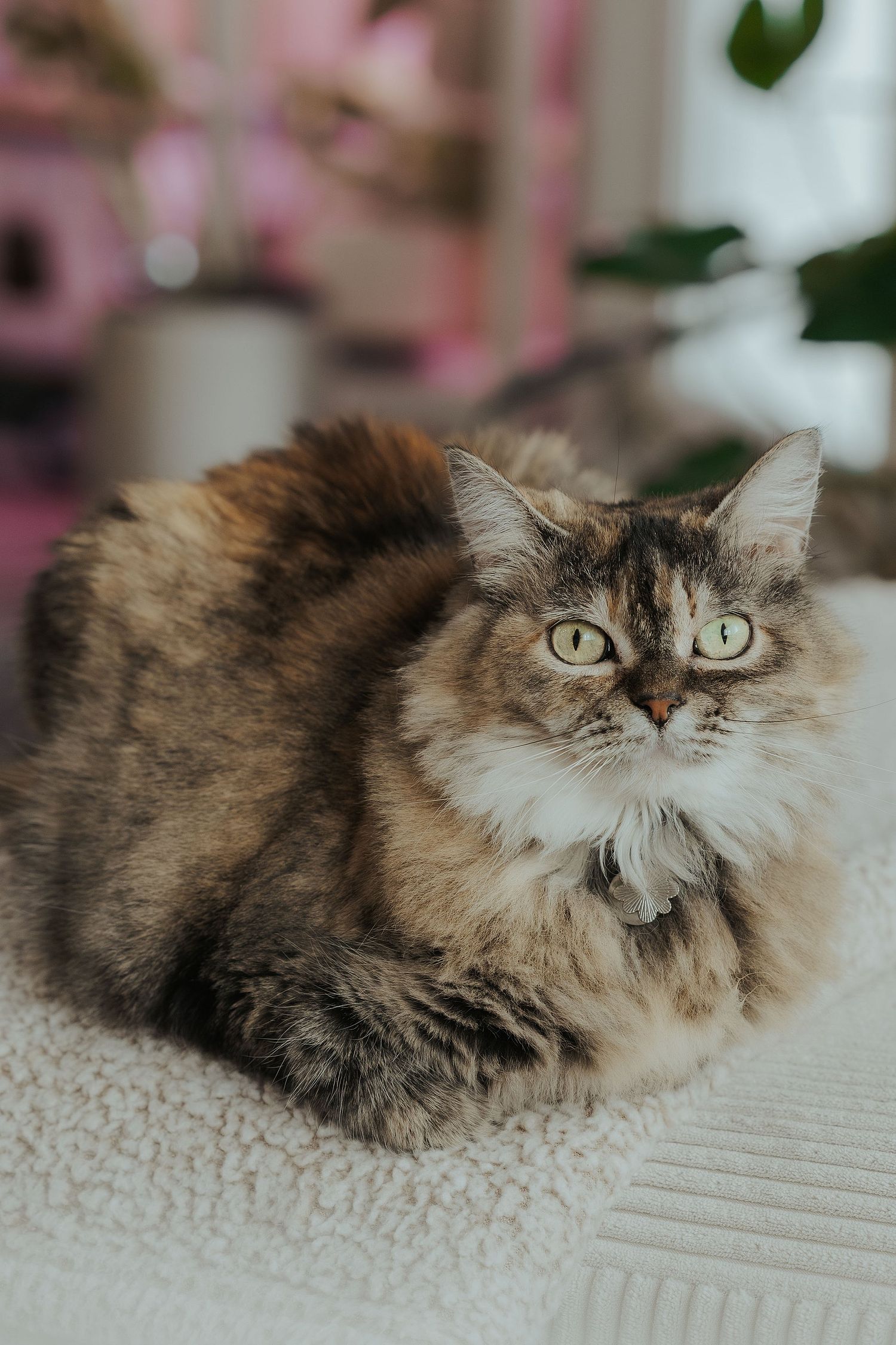 Kate Hulsey Photography