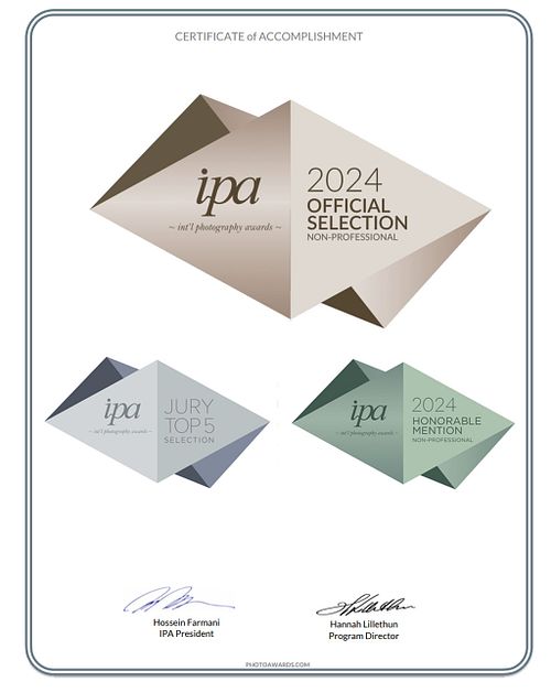 IPA 2024