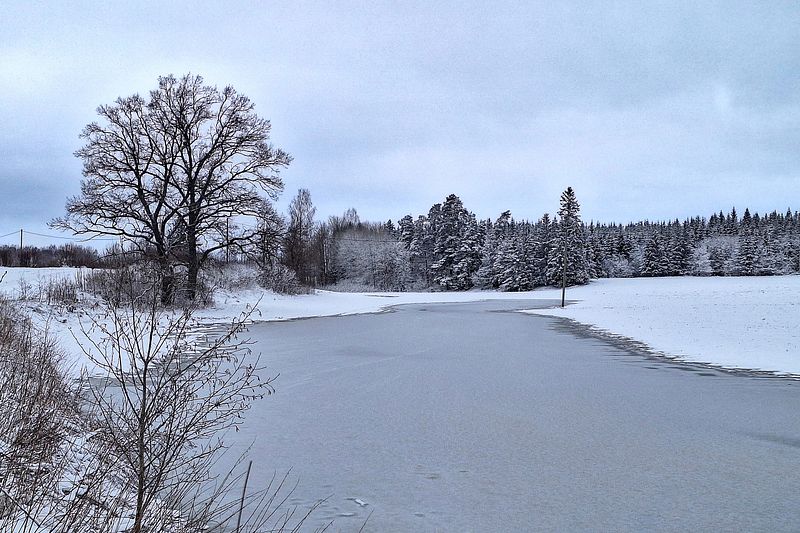 Kokkuvõtlik tagasivaade talve ajale, nüüd, kui eelmine talv.
