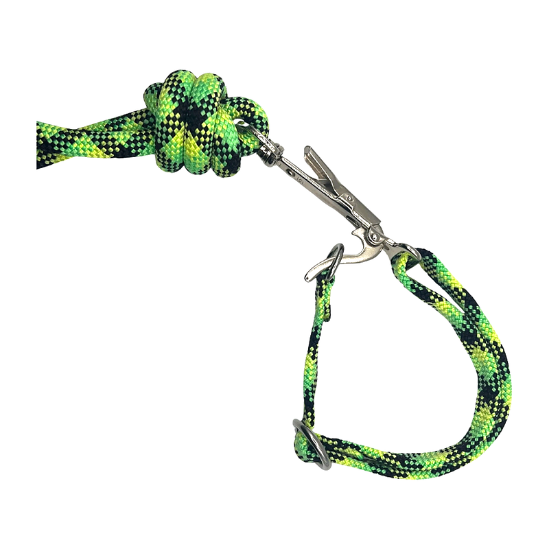 SwiftRelease™ Agility Lead + Collar - (Lime Proto)