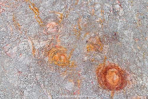 Concentric iron precipitation rings