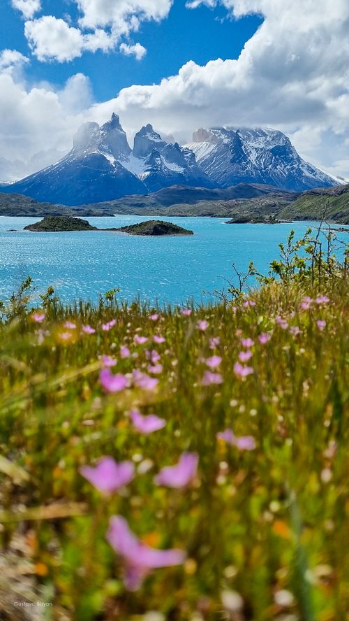 Torres del Paine