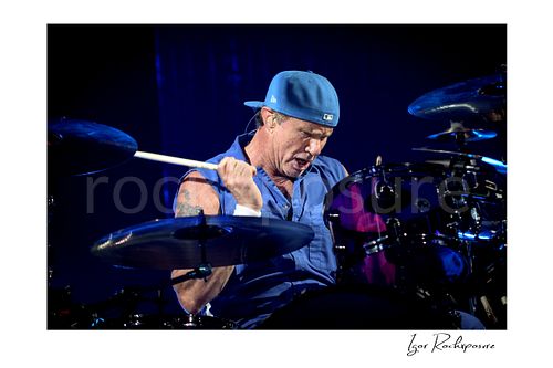 Horizontal color image of Chad Smith of Red Hot Chili Peppers playing drums in a focused live performance close-up, with drumstick raised above a purple drum kit under deep blue stage light