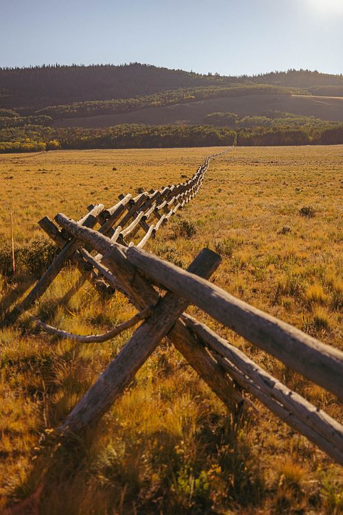 Fence Line