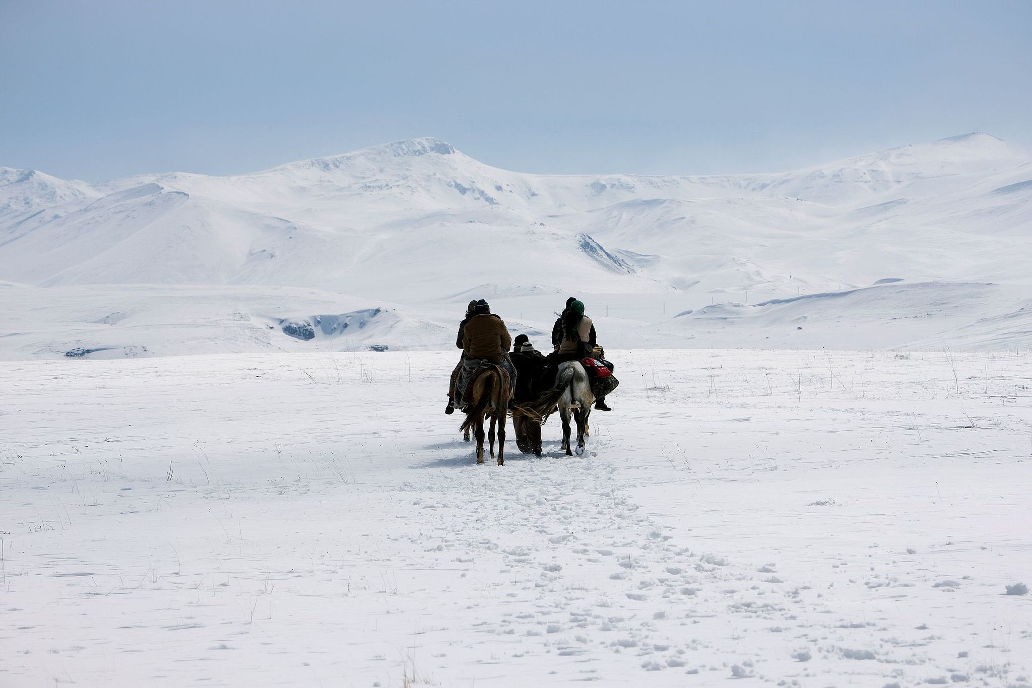 Wega Film "For a moment, freedom