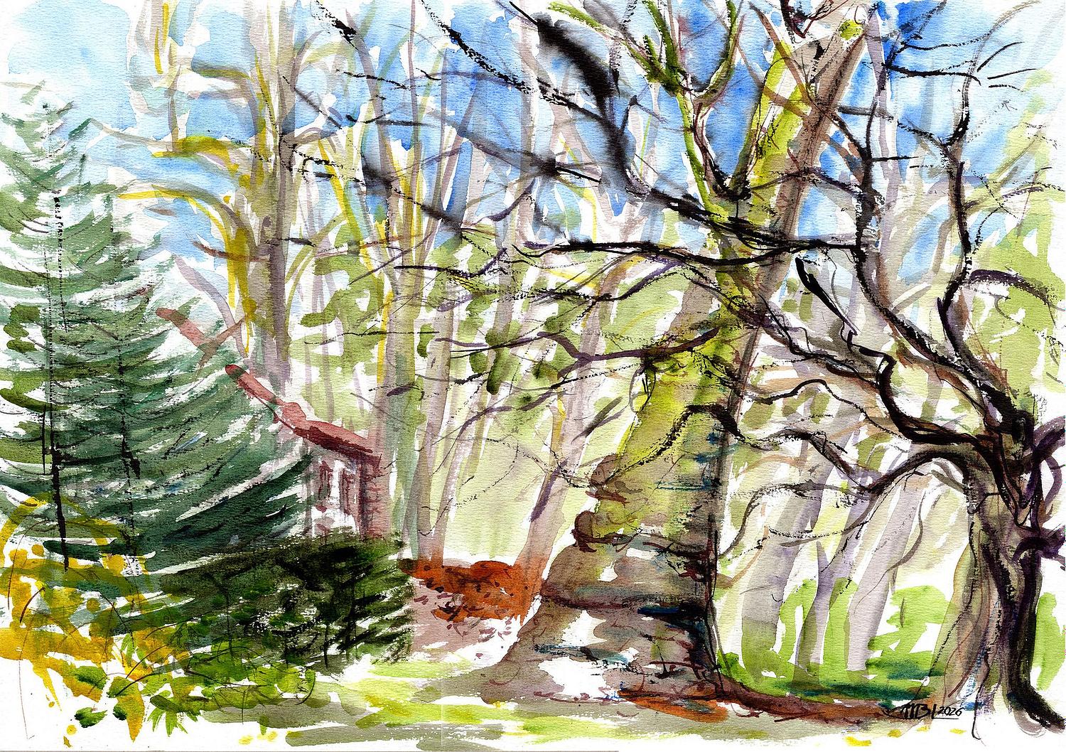 Grand platane inclin&eacute; devant la maison du gardien du parc de l'Ile-Verte &agrave; Chatenay-Malabry