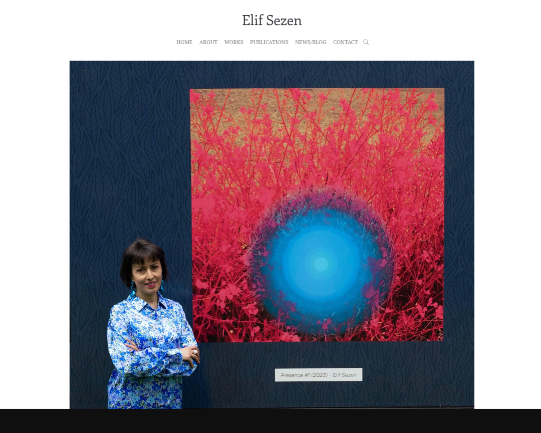 Portafolio de la artista Elif Sezen