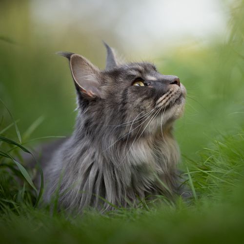 Hoe werkt een fotoshoot?
