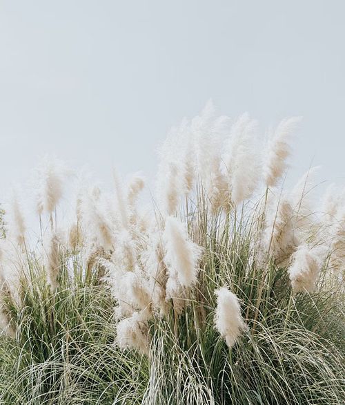 Fine-art printed photographs in a solid wooden frame. No batteries, no passwords, no cloud subscriptions.