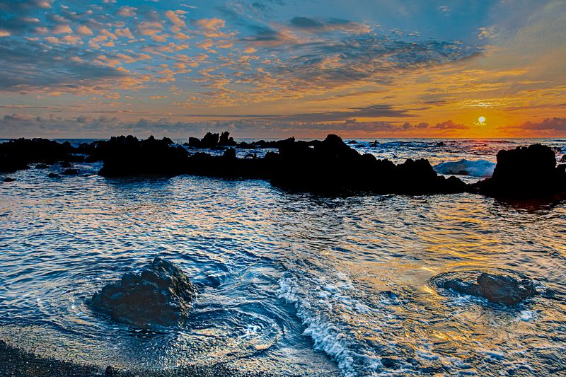 Images Displayed at Hyatt Regency Vines Cafe