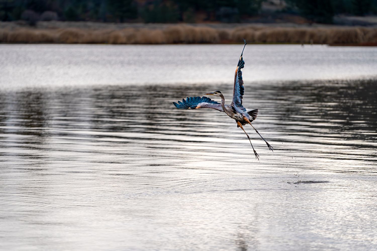 Selina's Perspective