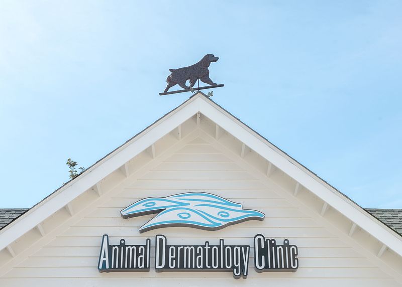 Animal Dermatology Clinic