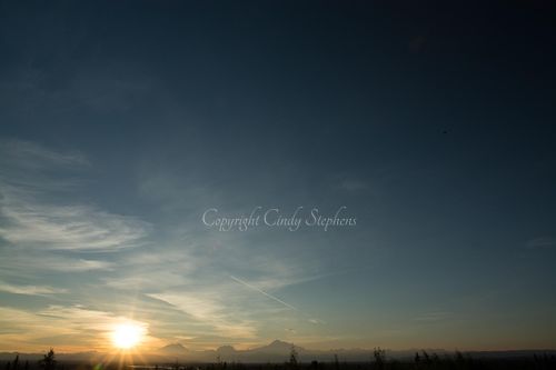 Setting sun against pine trees and mountains in Alaska