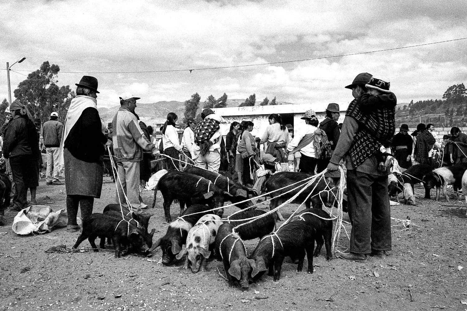 Ecuador | 2003