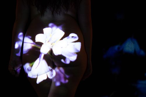 Licht aus dem Garten