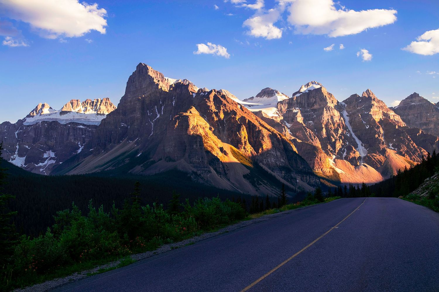 Mark Ingraham's Action & Nature Photos