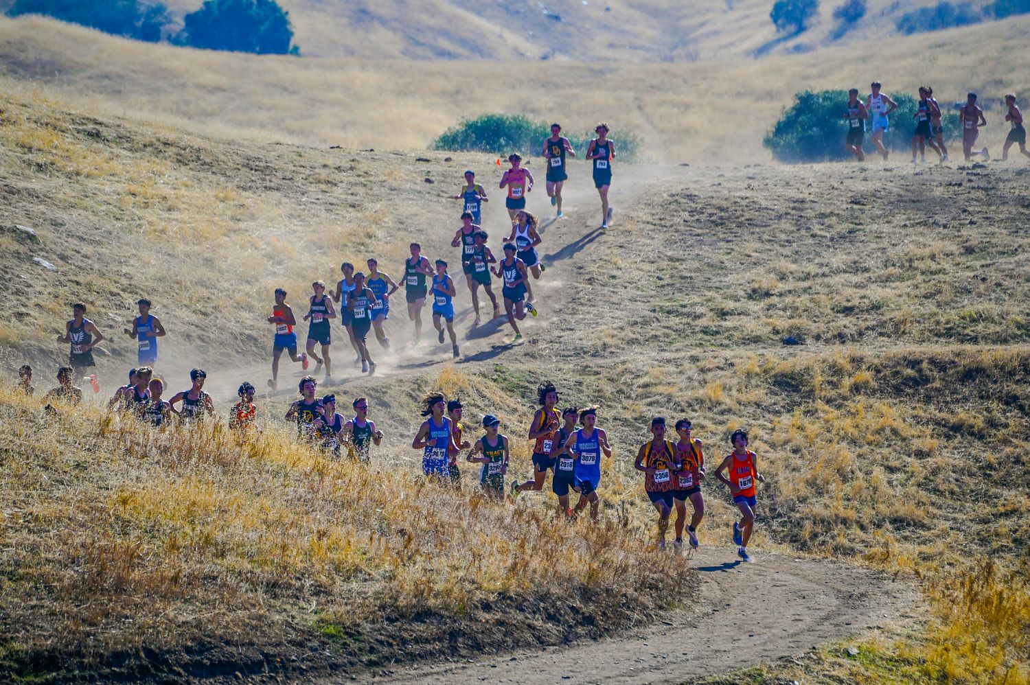 Mark Ingraham's Action & Nature Photos