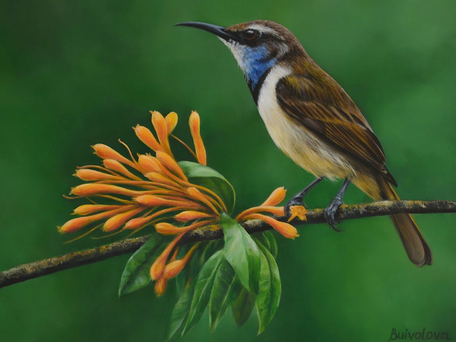 vibrant small bird on branch with orange flowers