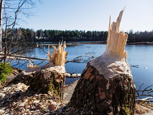 Weitblick vom Chasseral