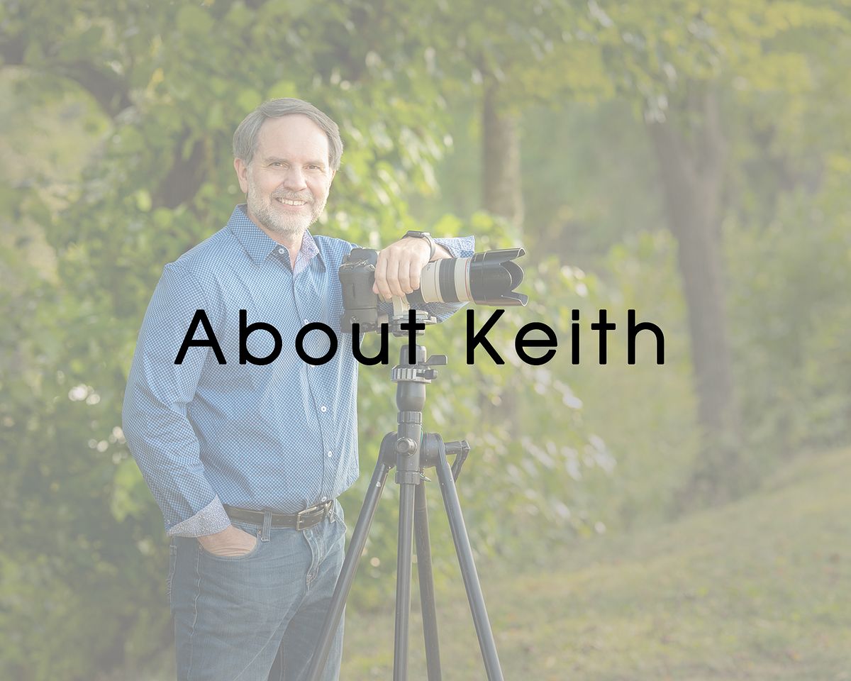 About the Artist, Keith Branch