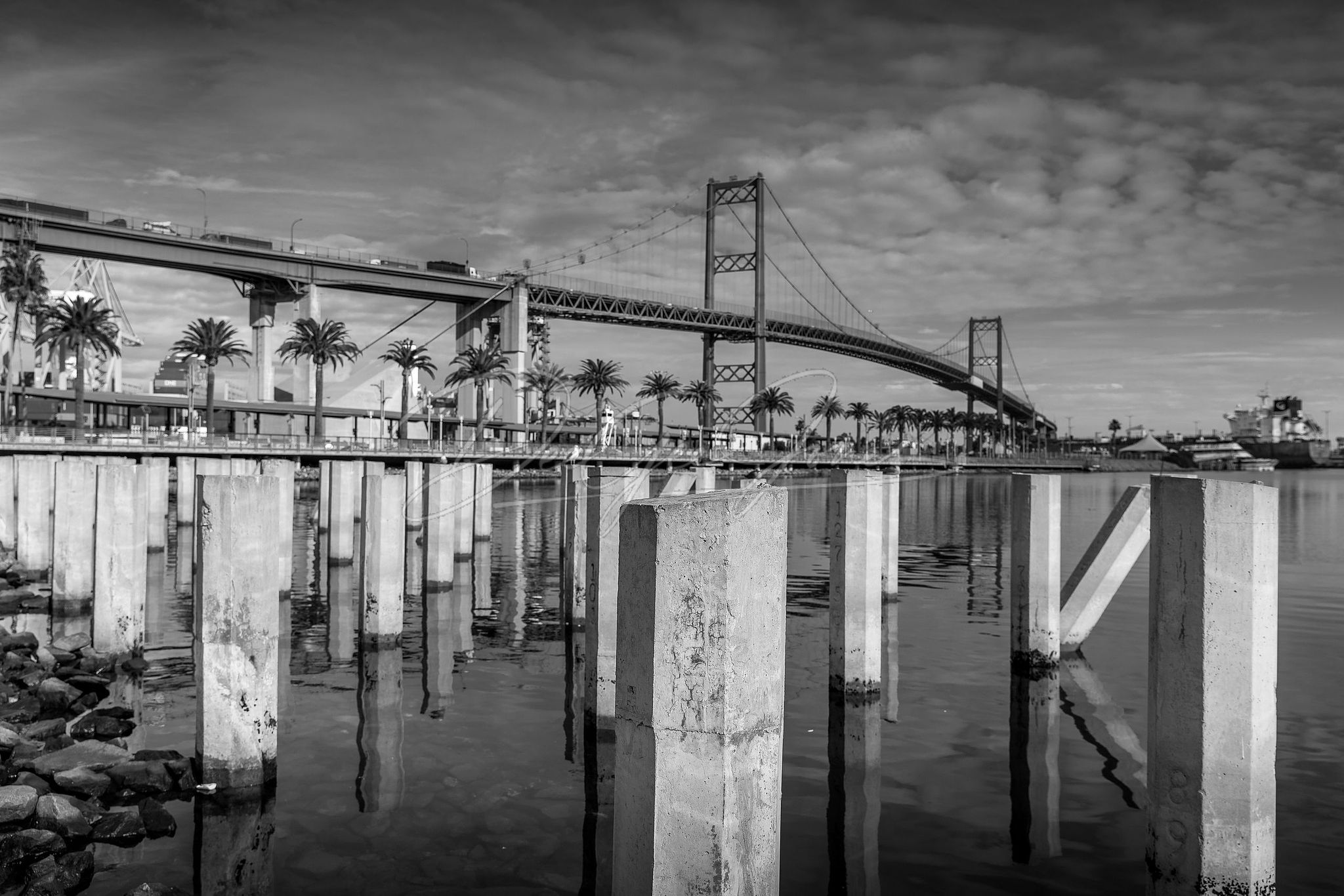 Vincent Thomas Bridge