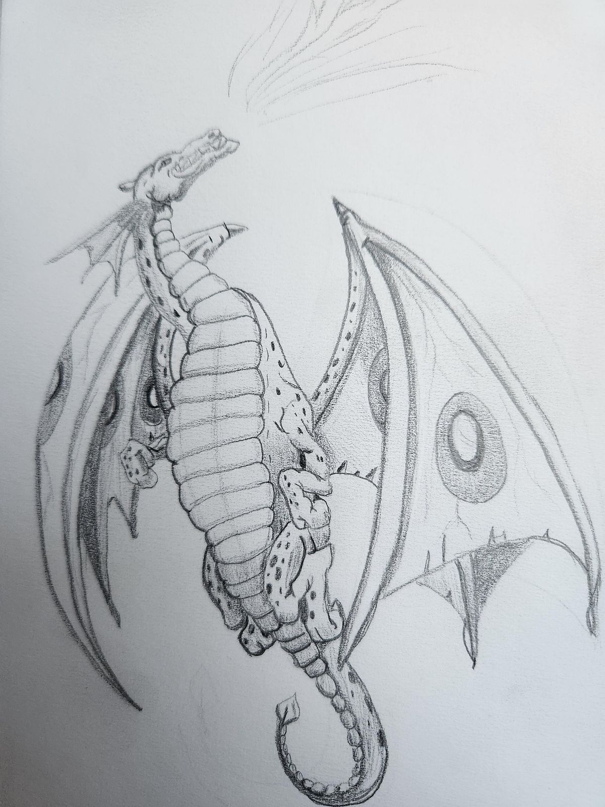 My Drawing - Dragon